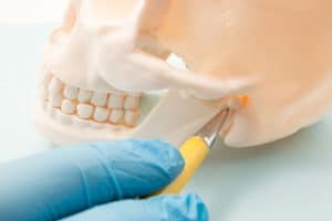 Dentist pointing out the temporomandibular joint on a model skull